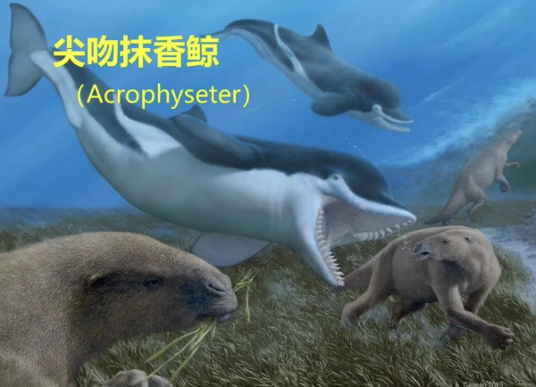AC7B797D8055725CEEC75B9B63736B4C.png