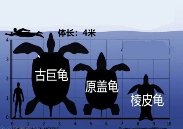 8EA7EC9DAB949D128CBBFDF1D0075E03.png